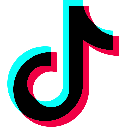 TIKTOK VIDEO DOWNLOADER